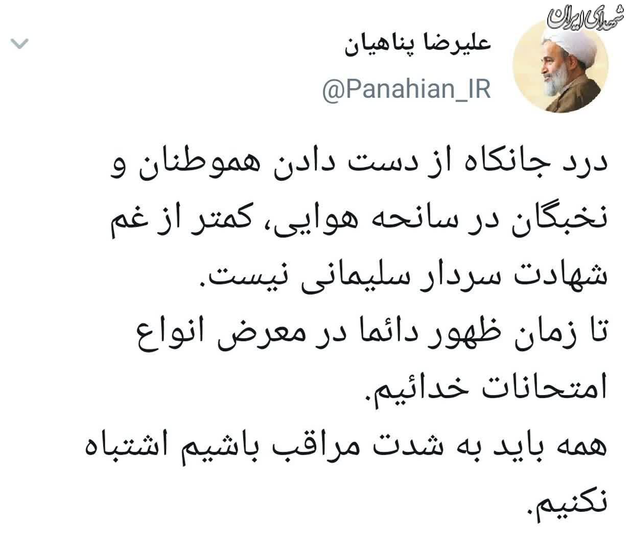 واکنش پناهیان به حادثه هواپیمای اوکراین