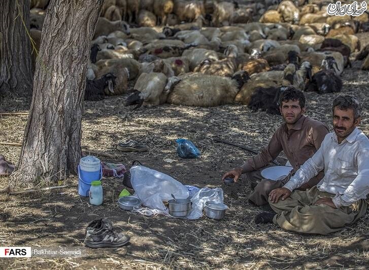 عکس/ روز پدر مبارک
