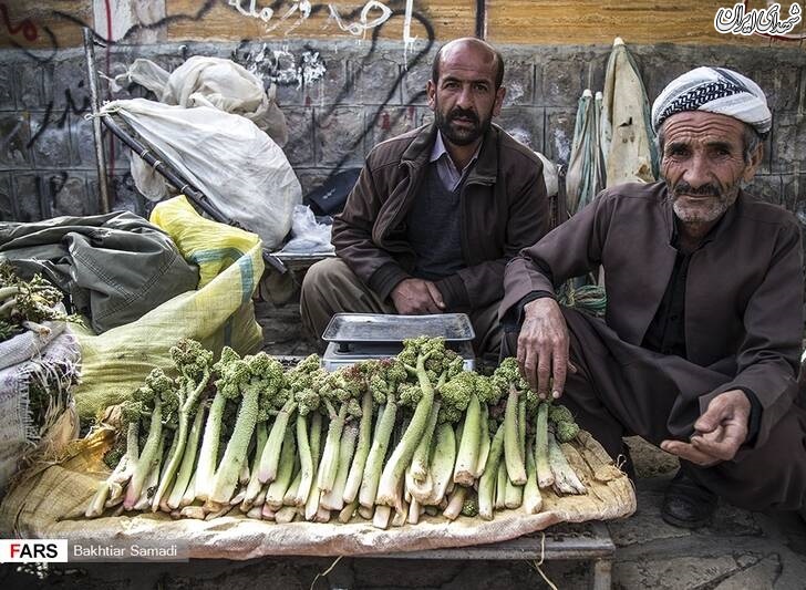 عکس/ روز پدر مبارک