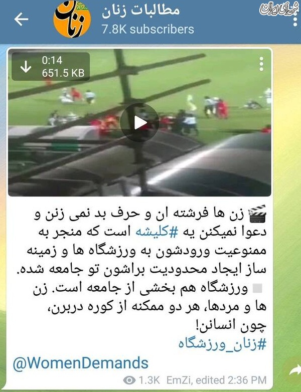 ذوق زدگی فمینیست‌ها از کتک کاری بانوان +عکس