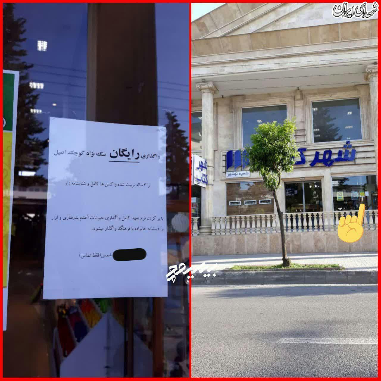 واگذاری سگ در شهر کتاب+عکس