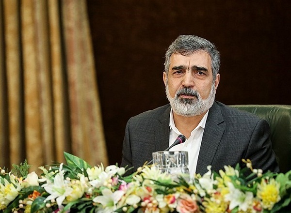 کمالوندی:از غنیسازی ۳.۶۷ درصد عبور کردیم کمالوندی:از غنیسازی ۳.۶۷ درصد عبور کردیم