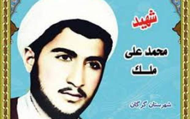 شهیدی که شهیدی که