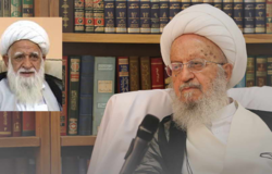 پیام تسلیت آیت الله مکارم شیرازی به مناسبت رحلت آیت الله آصف محسنی پیام تسلیت آیت الله مکارم شیرازی به مناسبت رحلت آیت الله آصف محسنی