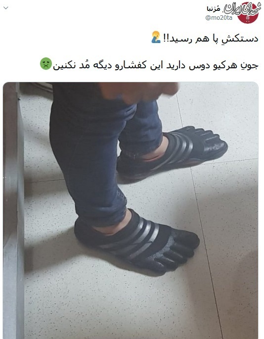 دستکش پا هم رسید