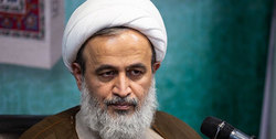 پناهیان:مجالس عزاداری ایجاد شادی میکند پناهیان:مجالس عزاداری ایجاد شادی میکند