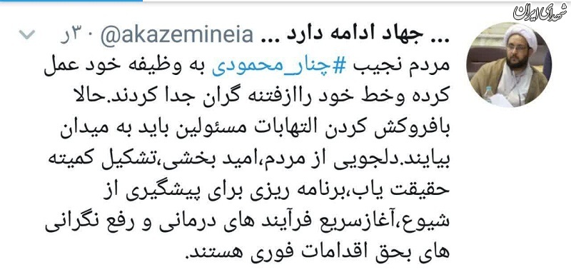 مسئولین به فکر زخم چنار باشید