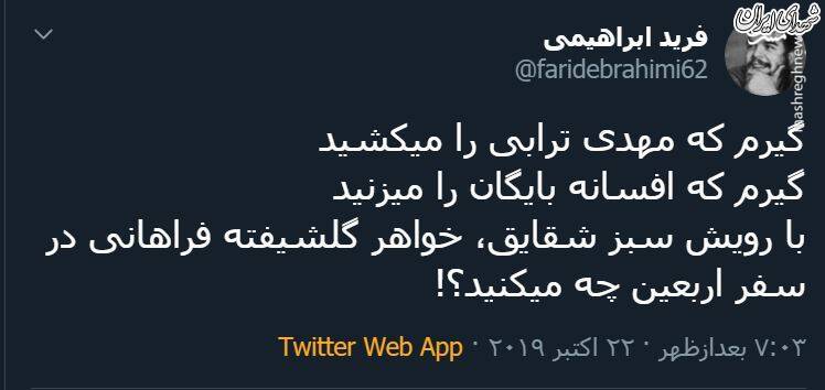 با رویش سبز شقایق در سفر اربعین چه می‌کنید؟! +عکس