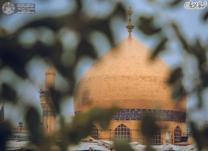 عکس/ حرم حضرت علی(ع) در یک روز مه‌آلود