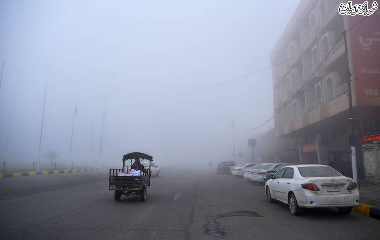 عکس/ نجف غرق در مه