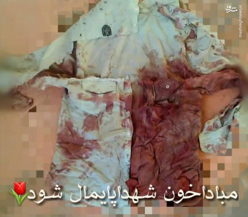 سبزه هفت سین را به نیت شهادت گره زد و شهید شد + عکس سبزه هفت سین را به نیت شهادت گره زد و شهید شد + عکس