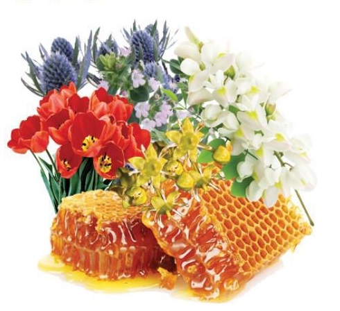ادعای یک حکیم سنتی/ کشف درمان کرونا ویروس (COVID19) در 48 ساعت ادعای یک حکیم سنتی/ کشف درمان کرونا ویروس (COVID19) در 48 ساعت