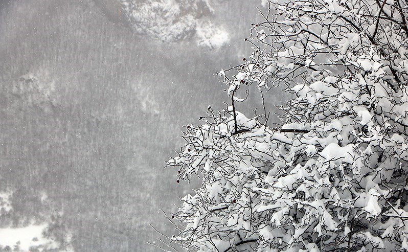 هواشناسی ایران ۹۹/۱۱/۱۵|بارش برف و باران ۵ روزه در ۲۴ استان هواشناسی ایران ۹۹/۱۱/۱۵|بارش برف و باران ۵ روزه در ۲۴ استان