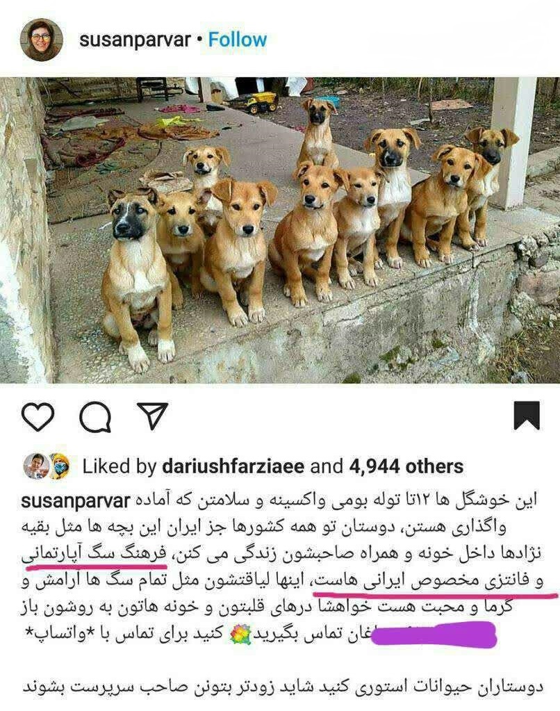 فروش سگ در صفحه خانم بازیگر