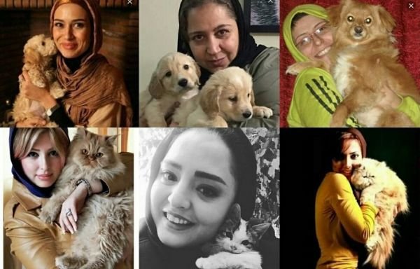 شغل جدید سلبریتیها/ از سگ بازی تا «سگ فروشی» شغل جدید سلبریتیها/ از سگ بازی تا «سگ فروشی»