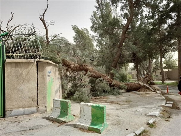 شدیدترین طوفان شن سال های اخیر زاهدان را درنوردید شدیدترین طوفان شن سال های اخیر زاهدان را درنوردید
