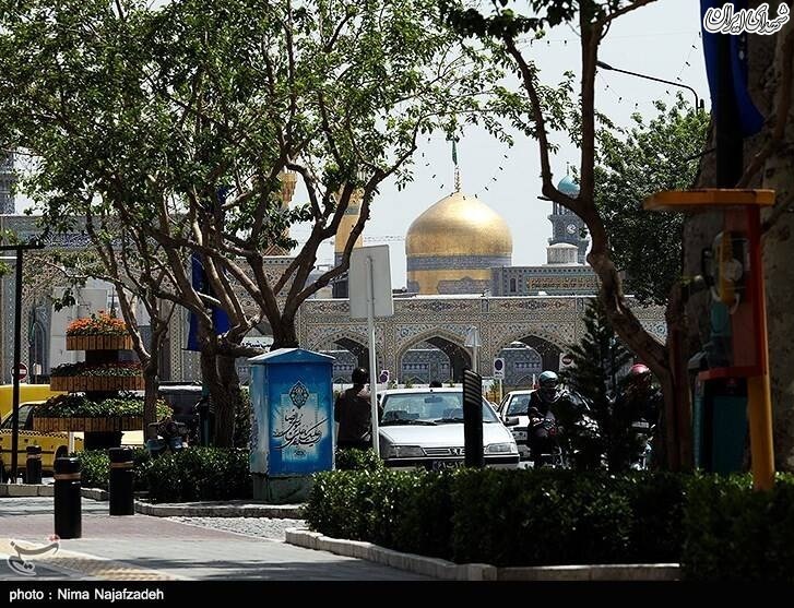 عکس/ السلام علیک یا علی بن موسی الرضا(ع)