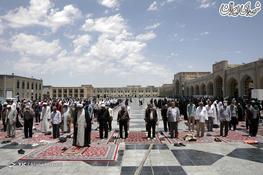 عکس/ نماز جماعت در حرم امام رضا(ع)