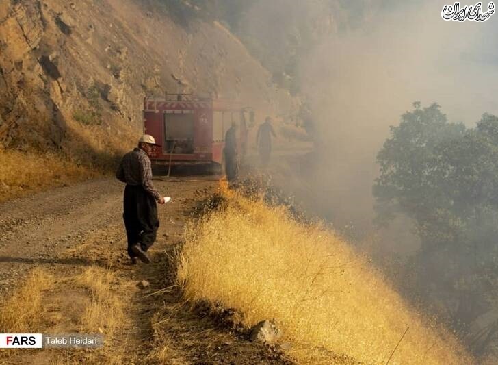 عکس/ آتش بر جان پاوه