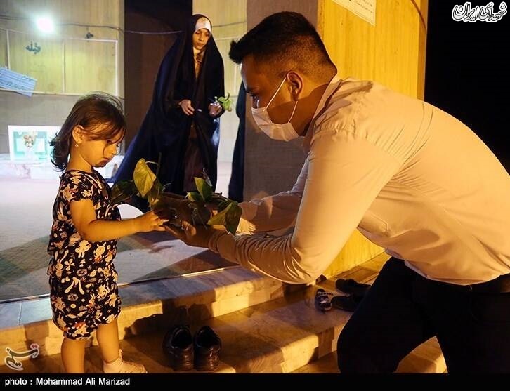 عکس/ اهدا گل به مناسبت میلاد حضرت معصومه(س)