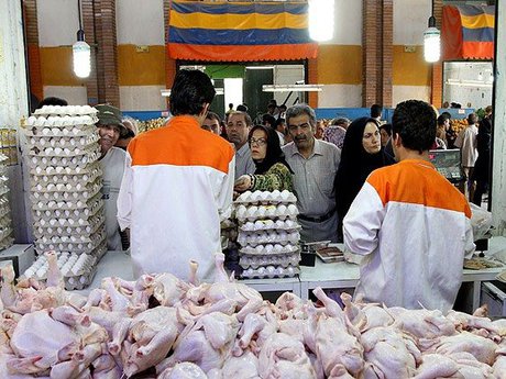 مرغ همچنان در اوج مرغ همچنان در اوج