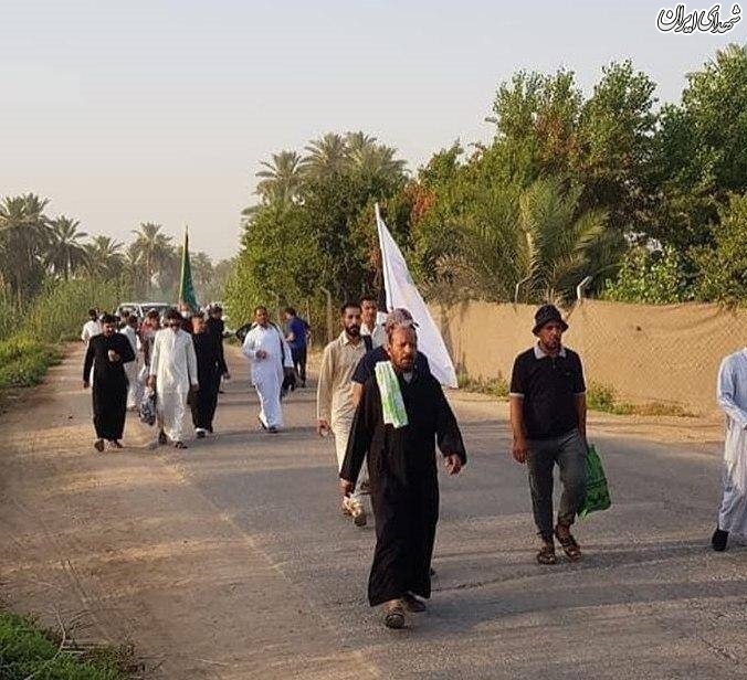 عکس/ پیاده روی به سمت کربلا در آستانه روز عرفه