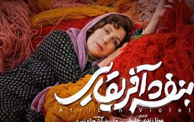 بنفشه آفریقایی؛ زرد غیرایرانی! بنفشه آفریقایی؛ زرد غیرایرانی!