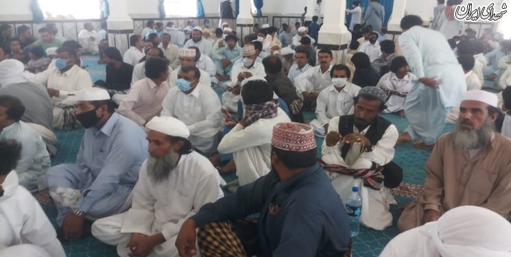 ریش‌سفیدان بازهم گل کاشتند