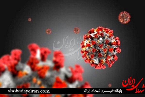 شمار قربانیان کرونا از مرز یک میلیون تن گذشت شمار قربانیان کرونا از مرز یک میلیون تن گذشت