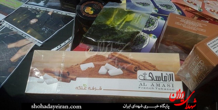 « اراذل» اینجا ترسناک نیستند « اراذل» اینجا ترسناک نیستند