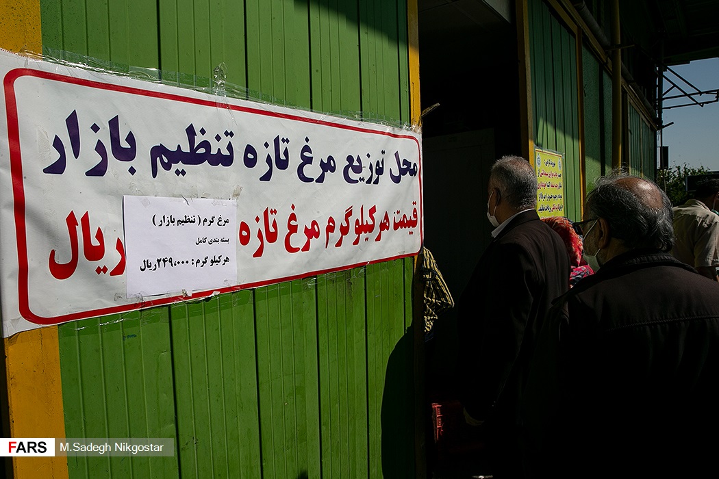 عکس/ بفرمایید مرغ نجومی؛ علی برکت الله