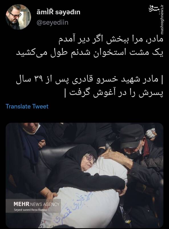 مادر، مرا ببخش اگر دیر آمدم +عکس