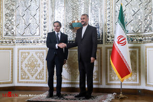 گروسی با امیرعبداللهیان دیدار کرد گروسی با امیرعبداللهیان دیدار کرد