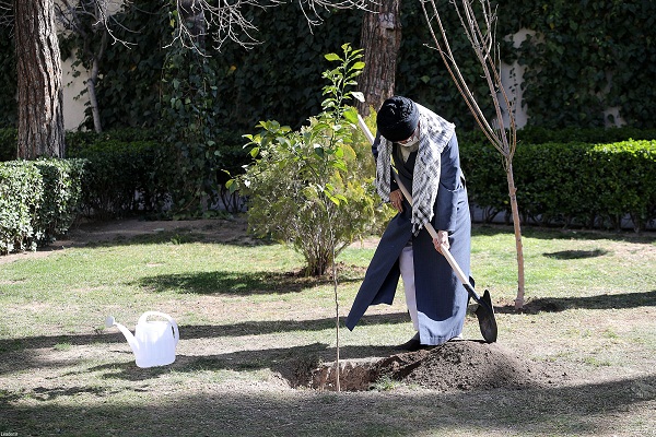 تصاویر کاشت نهال توسط رهبرانقلاب