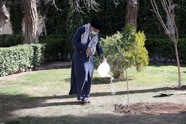 تصاویر کاشت نهال توسط رهبرانقلاب