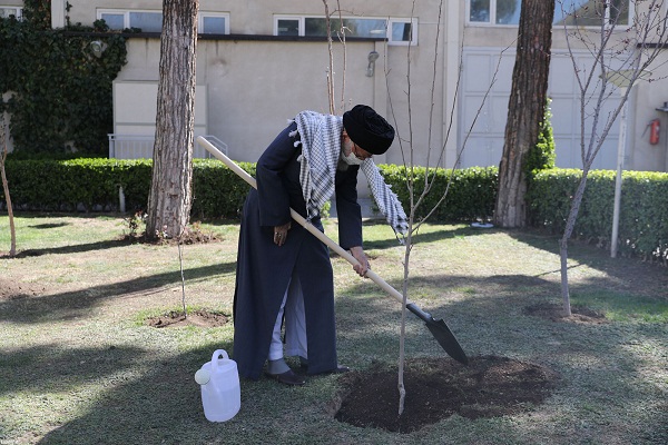 تصاویر کاشت نهال توسط رهبرانقلاب