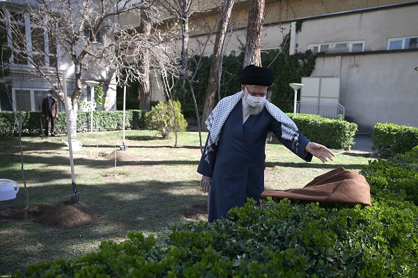 تصاویر کاشت نهال توسط رهبرانقلاب