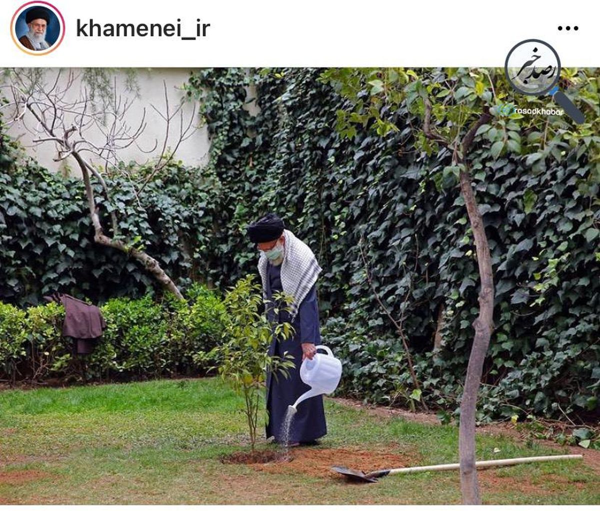 امسال رهبر انقلاب درخت خرمالو و نارنج کاشتند امسال رهبر انقلاب درخت خرمالو و نارنج کاشتند
