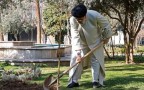 کاشت درخت توسط آیت الله رئیسی در روز درختکاری