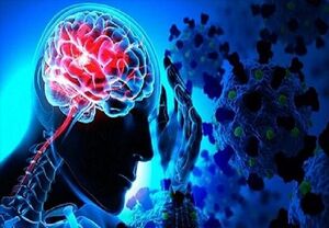 تغییرات مغزی در بهبود یافتگان کرونا تغییرات مغزی در بهبود یافتگان کرونا