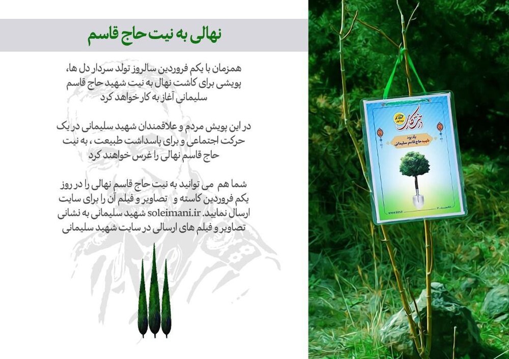 نهالی به نیت حاج قاسم +عکس نهالی به نیت حاج قاسم +عکس