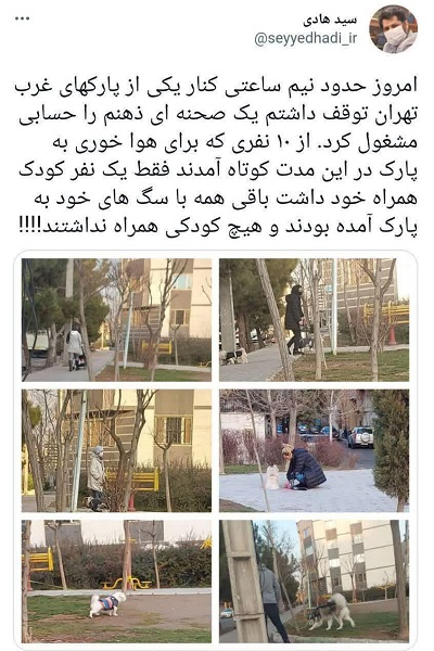 زندگی سگی زندگی سگی