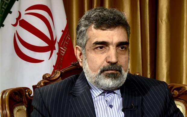 سفر معاون سازمان انرژی اتمی به وین سفر معاون سازمان انرژی اتمی به وین