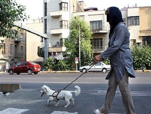 ممنوعیت سگگردانی در محل بازی کودکان در بوستانها ممنوعیت سگگردانی در محل بازی کودکان در بوستانها