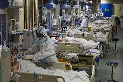 زالی: استان تهران سراسر قرمز است زالی: استان تهران سراسر قرمز است
