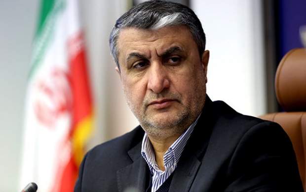 رئیس سازمان انرژی اتمی وارد وین شد رئیس سازمان انرژی اتمی وارد وین شد