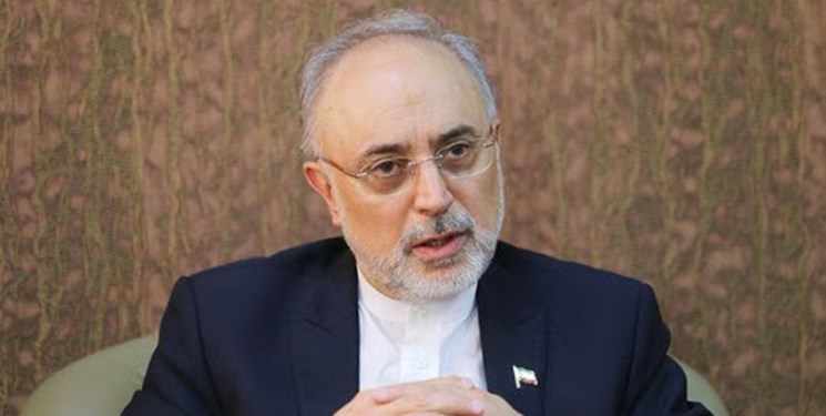 تبریک علی اکبر صالحی به امیرعبداللهیان تبریک علی اکبر صالحی به امیرعبداللهیان