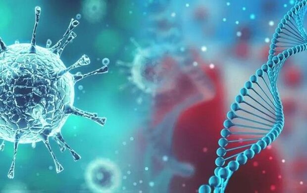 جانباختن ۱۶۰ بیمار کرونایی در شبانه روز گذشته جانباختن ۱۶۰ بیمار کرونایی در شبانه روز گذشته