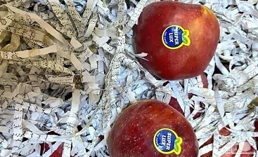 هتک حرمت به قرآن کریم!/ پوشال‌های حاوی آیات قرآن در بین میوه‌های صادراتی!