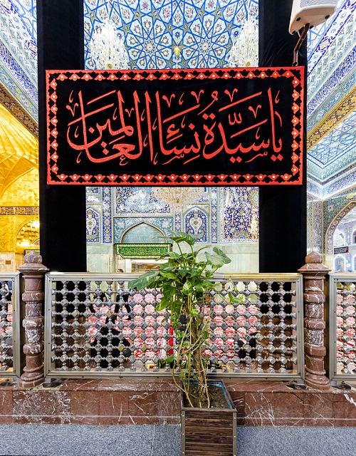 کربلا سیاه پوش شد